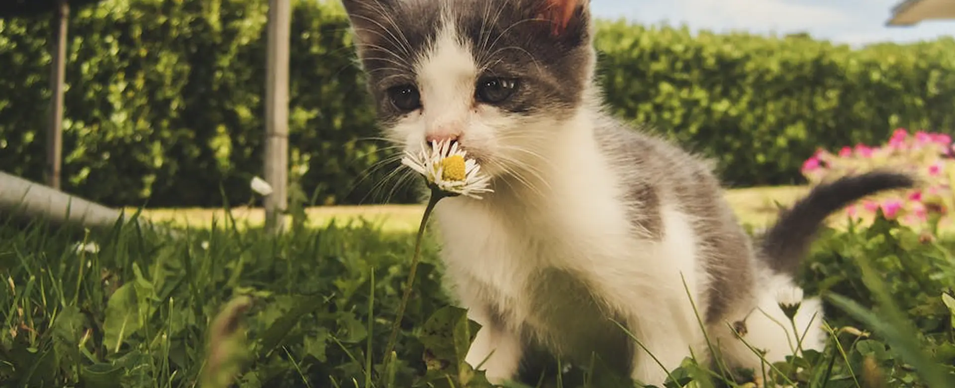 Historie szczęśliwych powrotów